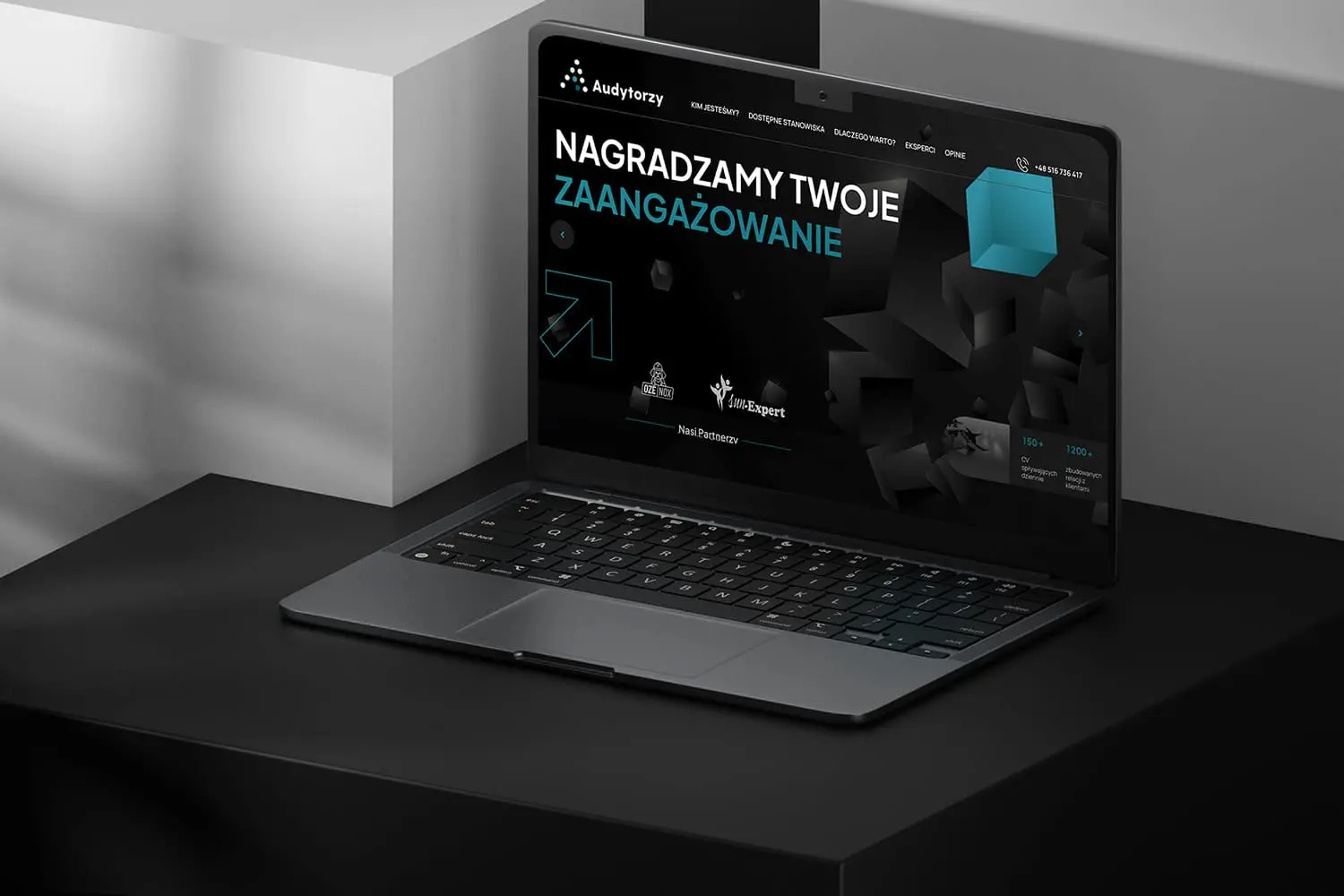 Podgląd strony Audytorzy — realizacja Sitefy